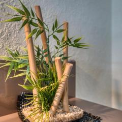 Ferienpark - Haus B, App 0B0511