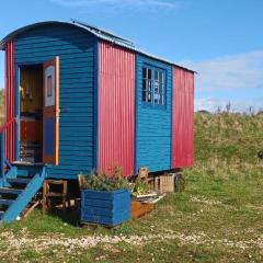 Cosy & Spacious Shepherd's Hut with Stunning Views