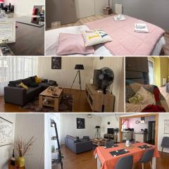 Relais des Arts, très spacieux et lumineux centre ville thouars