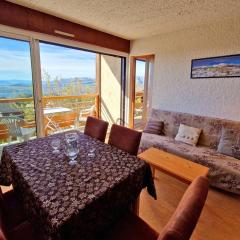 Appartement 6 pers, balcon sud, WiFi, animaux admis, parking - FR-1-393-51