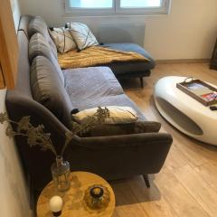 Cozy and comfortable 2-room apartment in Rouen