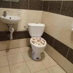 Приватний дім