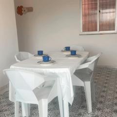 AP COP30 Belém