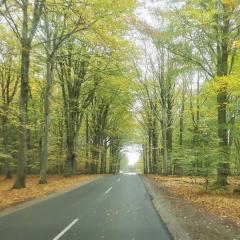 6 person holiday home in Henne-By Traum