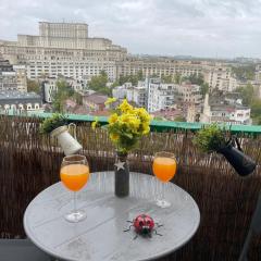 2 bdrm apartment witn AMAZING VIEW