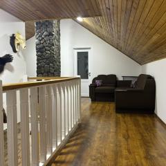 Cozy house with a view