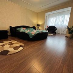 One-Bedroom Apartment in the center