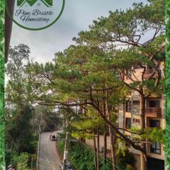 Pine Bristle Homestay