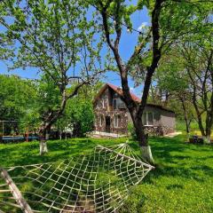 Bacho's cottages Mzetamze - cozy mountain retreat