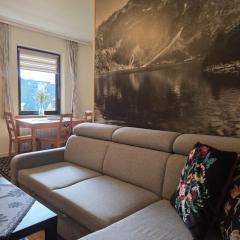 Gładkie Apartamenty