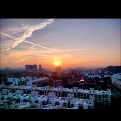 1 bhk Floral Apartment