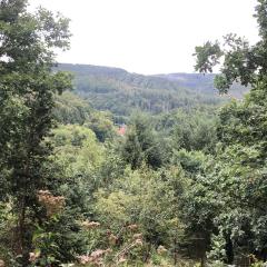 Waldläufer