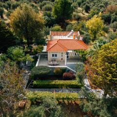 Olive Grove Retreat