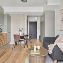 Modern luxury apartment
