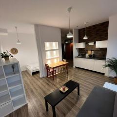 Windows to the City Stylish Apartment