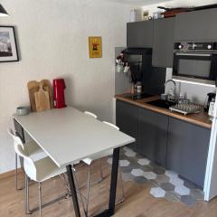 Location studio plein centre Les Carroz