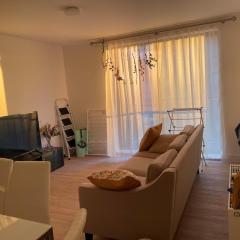 Modern two-bedroom flat near Cambridge University Biomedical Campus