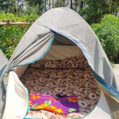 Pickurstay vbss camping hub