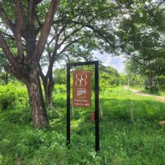 Coco farm stay Suanphueng