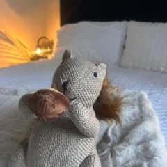 Hastings Apartments Extra Large Self Catering Apt Tourism Certified Free Parking WiFi