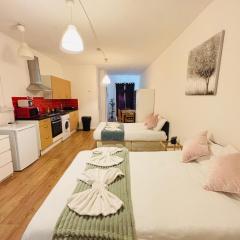 Wonderful Studio Apartment In London