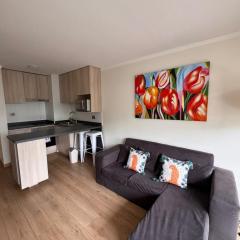 Nice apartment in Viña del Mar