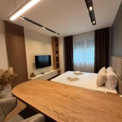 IL PRIMO Studio Apartment