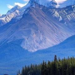 KMT Ooty villa mangal niketen