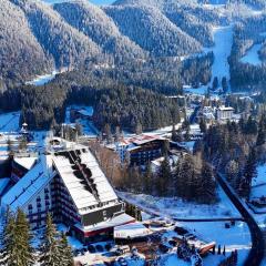Hotel Piatra Mare