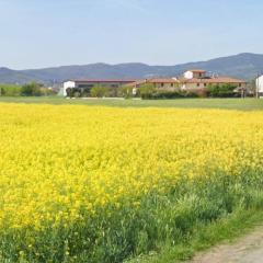 Fienile Paradiso Home Tuscany