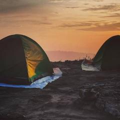 Wayanad Camping Hilltop