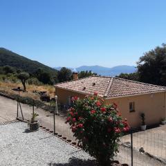 La Palombière - L Arbousier