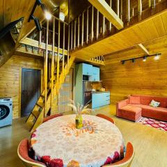 Mountain Shadow Cottage in Racha