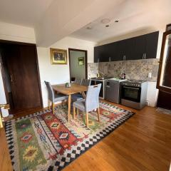 Vacation spot in Sarajevo in a calmest spacious area