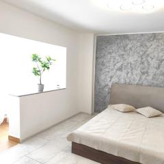 Studio Central Brancusi