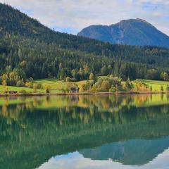 SeeHotel & SeeApartments Kärntnerhof- direkt am See!