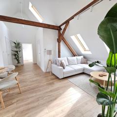 Apartamenty SWAN