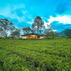 Viriparai Tea Bungalow Munnar by VOYE HOMES - Surrounded by Tea Plantations