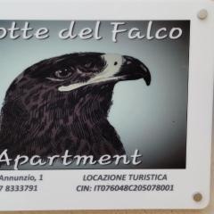Lanotte del Falco
