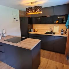 ABO - Boutique Apartment - Chalet Grindelwaldgletscher