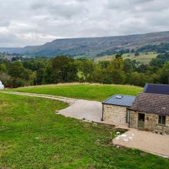 Neddy Meadow