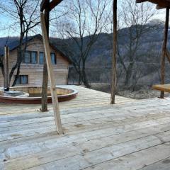Montain Cabin Apuseni