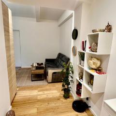 Appartement luxueux à Paris