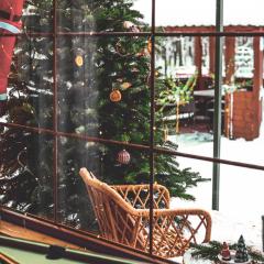 Dom to za mało ! Jacuzzi boiska plac zabaw ognisko