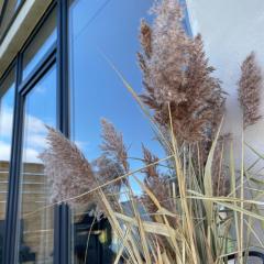 AgroReset CAŁOROCZNY