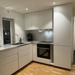 Northern Lights View Beautiful Berg