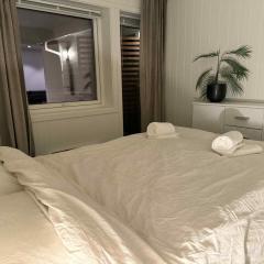 Northern Lights View Beautiful Berg