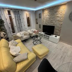 Appartement lumineux centre