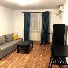 Urban Nest Victoriei - 1-Bedroom with AC