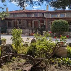 Diminio 1 Whole House - Chalet